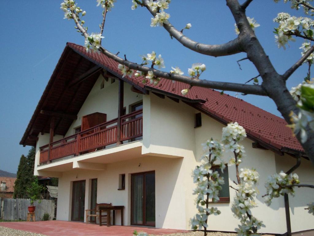 Casa Rudi & Ella Hotel เซอลิชเต ภายนอก รูปภาพ